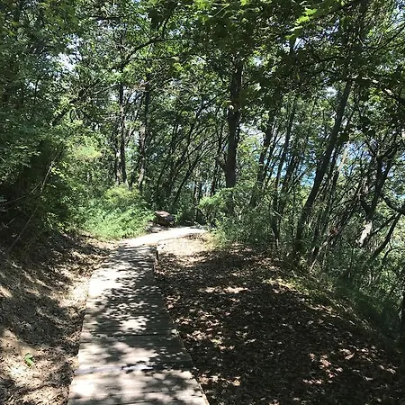 아파트 Pearl Beach In The Cliff 오브조르