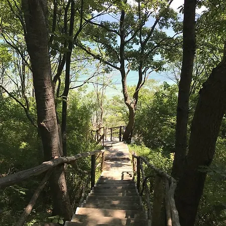 아파트 Pearl Beach In The Cliff 오브조르
